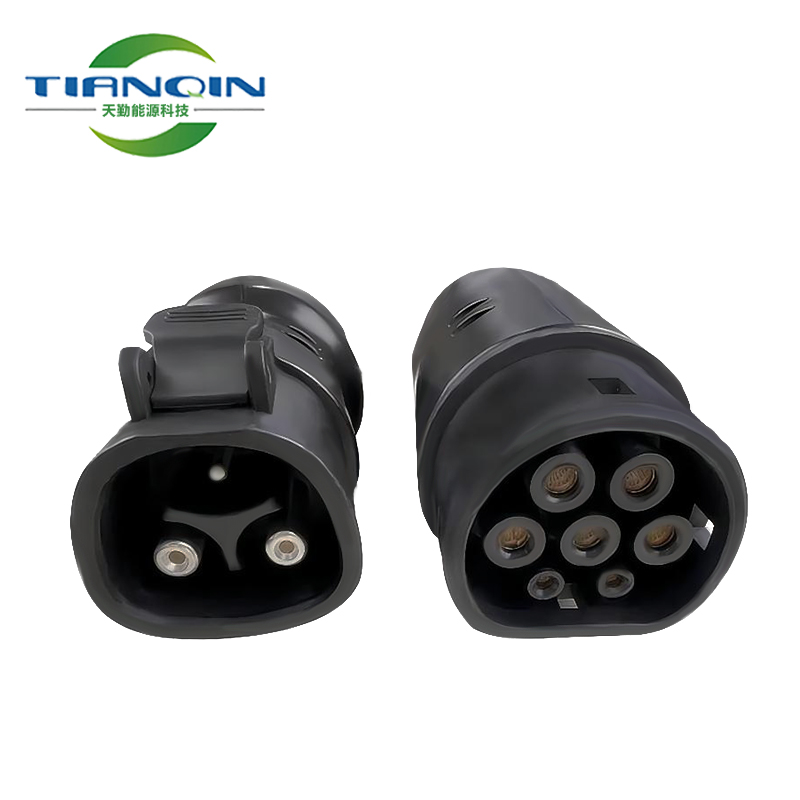 Դ늄(dng)܇(ch)tesla˹D(zhun)W(bio)Type 2I